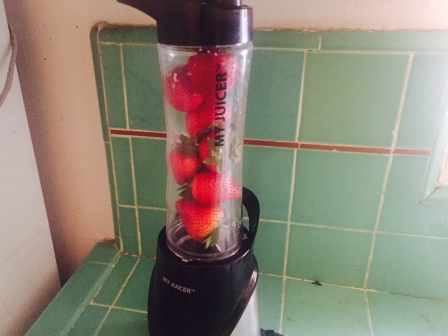 My Juicer has replaced my blender for most jobs and it travels with me. 